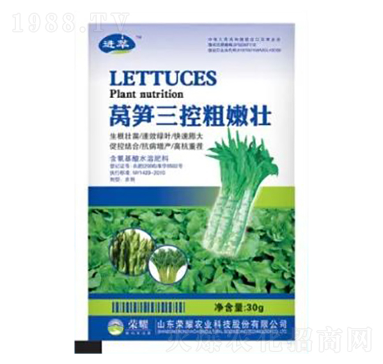 30g萵筍三控粗嫩壯-榮耀農(nóng)業(yè)