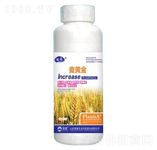 500g麥黃金-榮耀農(nóng)業(yè)