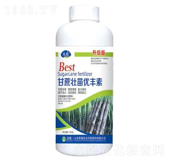 1000g������烞(y��u)�S������(j��)��-�sҫ�r(n��ng)�I(y��)