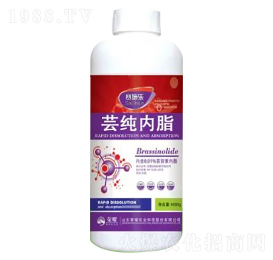 1000g�|����֬-ِʩ��-�sҫ�r�I(y��)