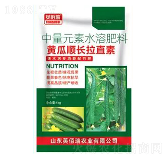 黃瓜順長拉直素-中量元素水溶肥-榮耀農(nóng)業(yè)