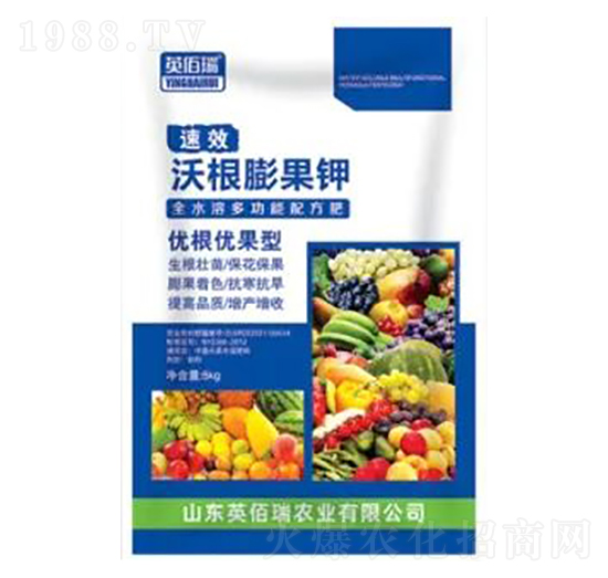 沃根膨果鉀優(yōu)根優(yōu)果型-榮耀農(nóng)業(yè)