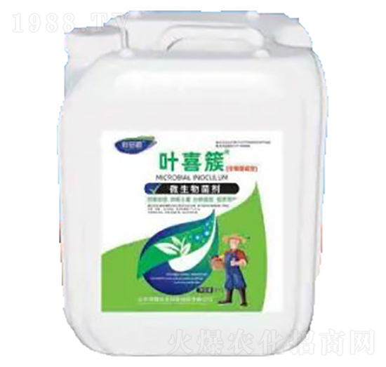 葉喜簇-微生物菌劑-榮耀農業(yè)