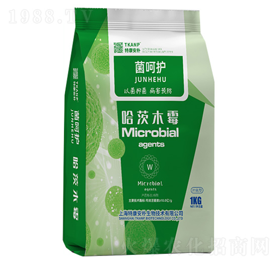 �����o������ľù-�ؿ�����