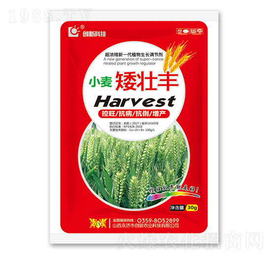 30g小麥矮壯豐-創(chuàng)新科技