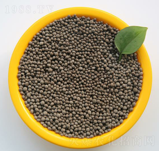 ��������ֲ���(f��)�Ϸ��w��-���B��