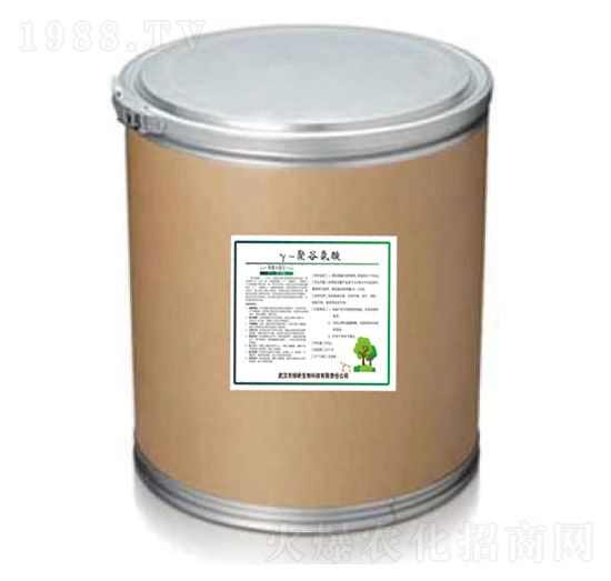 �۹Ȱ���ۄ���20���-�G������