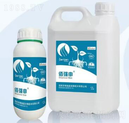 �ۏ�(qi��ng)��-�����m��