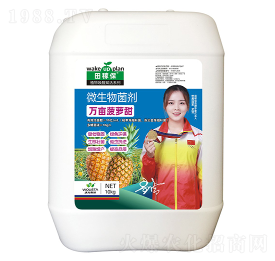 ΢�������-�f�����}��-��ڱ�