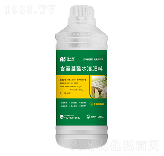 1000g蔥姜蒜需用含氨基酸水溶肥料-安卡夫