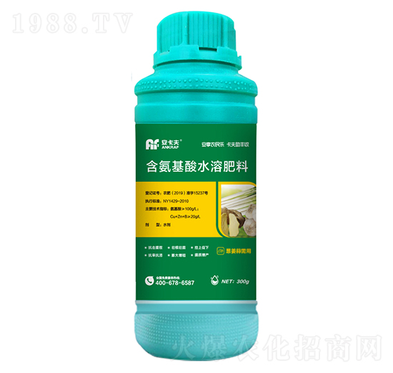 300g蔥姜蒜需用含氨基酸水溶肥料-安卡夫