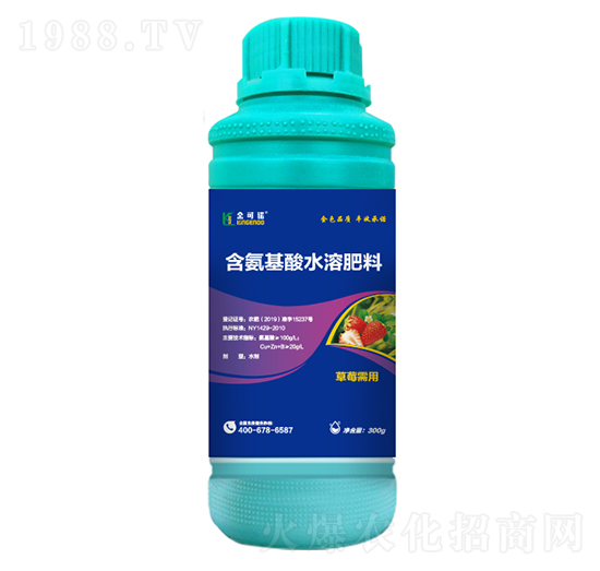 300g草莓需用含氨基酸水溶肥料-金可諾