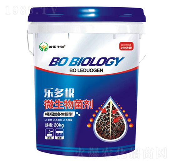 �����΢�������-��������