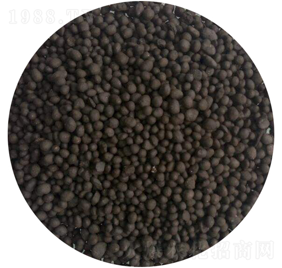 ��S�ЙC(j��)�ʣ��w����-�r(n��ng)��ʘI(y��)