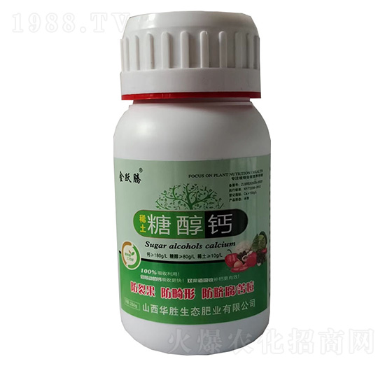 �Ǵ��}-���S�v-�A��