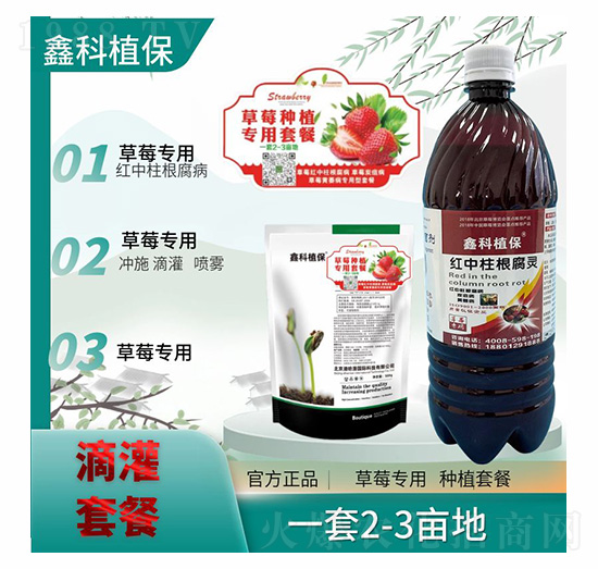 �t���������`-�ο�ֲ��