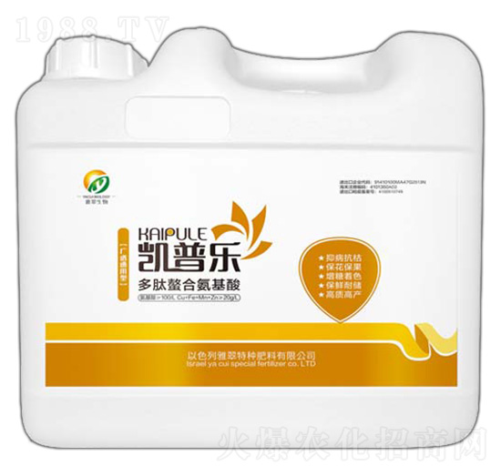 Ͱ�b�������ϰ�����-�P�՘�-�Ŵ�����