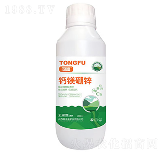 �}�V���\-ͬ��-�κ��S