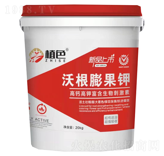 �ָ�����-ֲɫ����