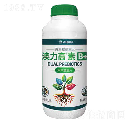 ΢��������Ԫ-��������B+-������