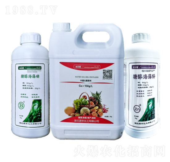 �Ǵ��\�������}-Դ�S����