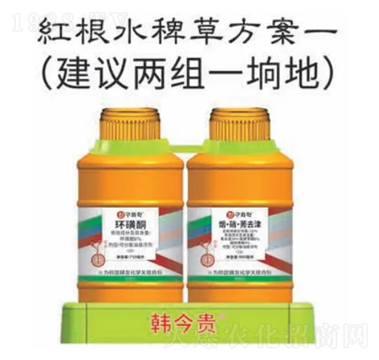 �t��ˮ�޲ݷ���-�n���F-�n�ѻ��W