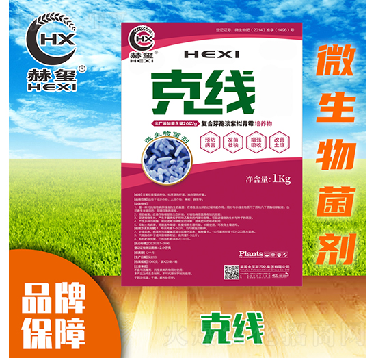 �˾�΢�������-�խt