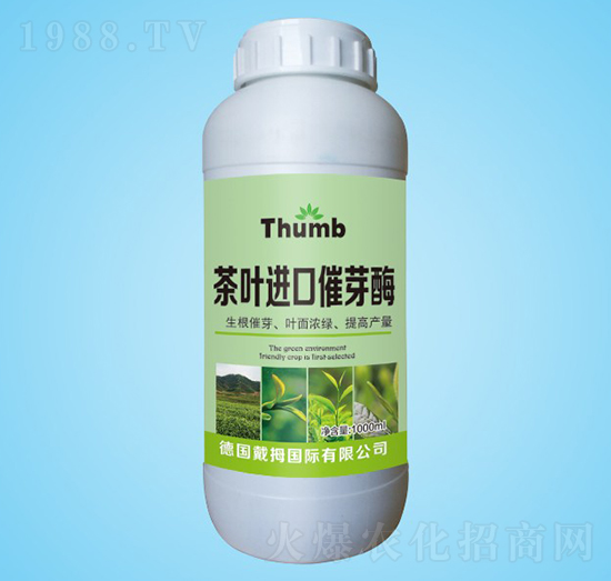 ���~�M(j��n)�ڴ�ѿø-����r(n��ng)�I(y��)