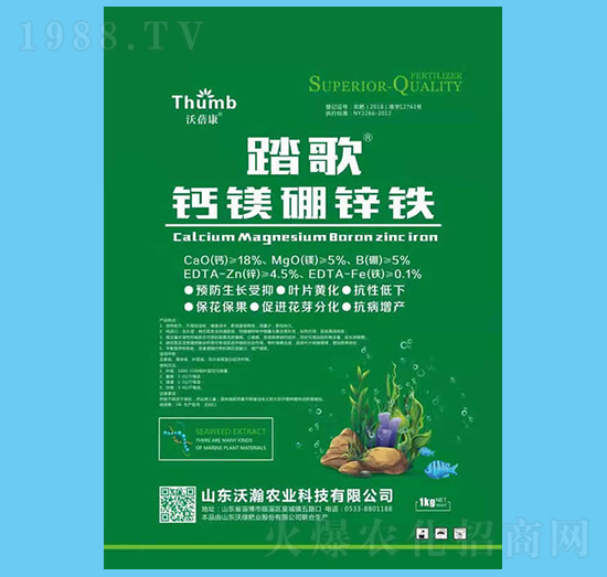 �}�V���\�F-̤��-����r(n��ng)�I(y��)