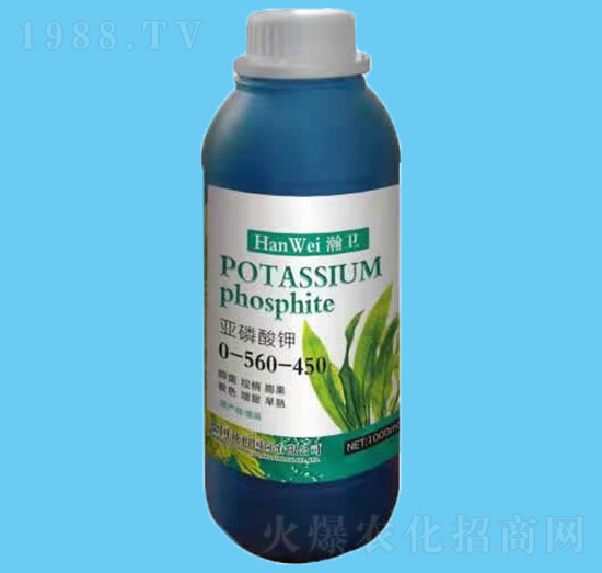 �������-��l(w��i)-����r(n��ng)�I(y��)