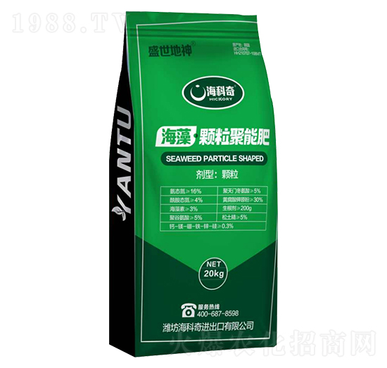 �����w�����ܷ�-ʢ������-������