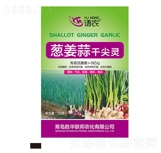 蔥姜蒜干尖靈-語農(nóng)-勝華聯(lián)邦