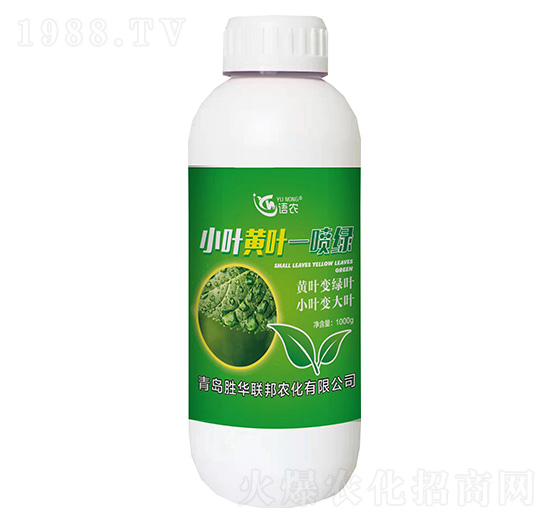 小葉黃葉—噴綠-語農(nóng)-勝華聯(lián)邦