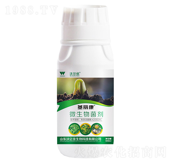 ΢�������-�o����-�֠���(y��u)