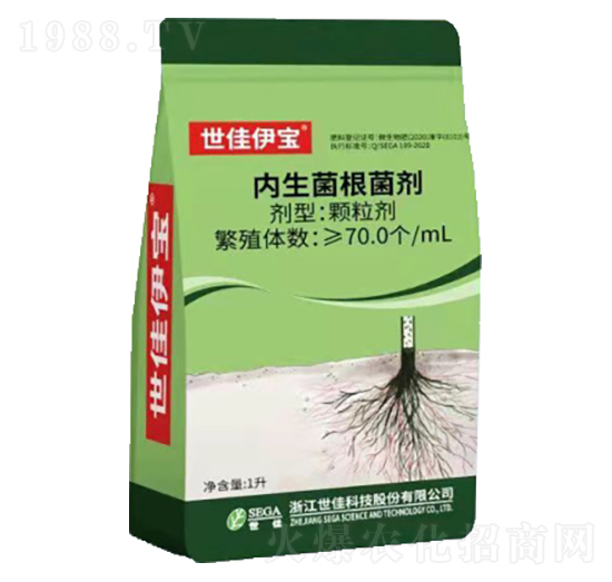 ������������-��������-���ѿƼ�