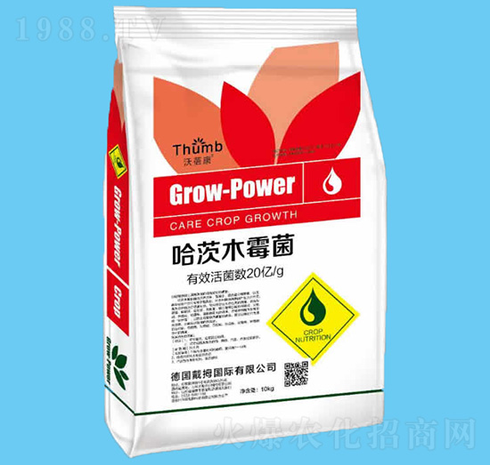 10kg����ľù��-������-����r�I(y��)