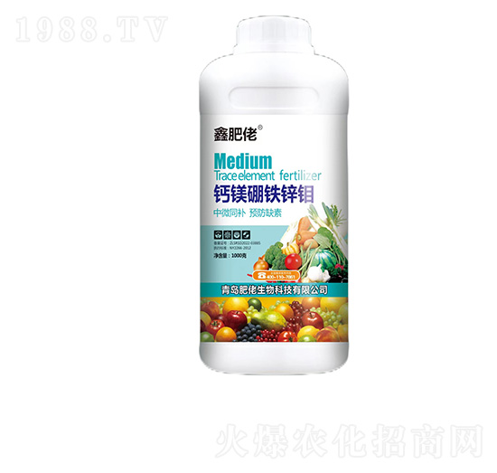 �}�V���F�\�f-�η���-��������