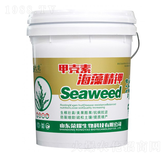 �ך��غ��徫�-����-�sҫ�r(n��ng)�I(y��)