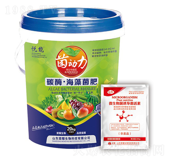 ̼ø���������-������-�sҫ�r�I(y��)