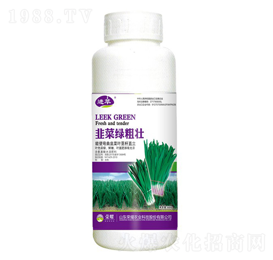 韭菜綠粗壯（500g）-進(jìn)萃-榮耀農(nóng)業(yè)