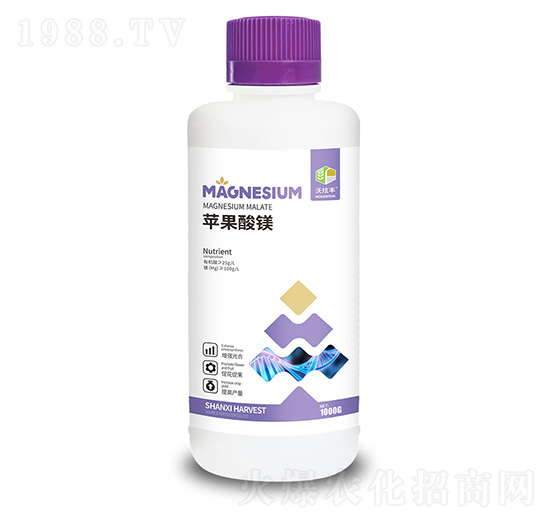 �O�����V-�����S-�ɿ����ʘI(y��)