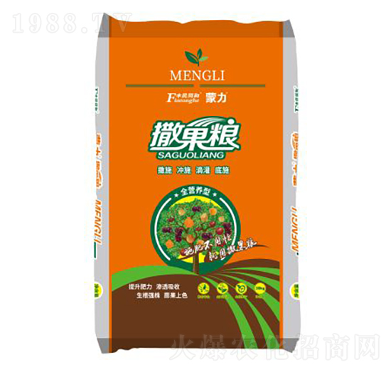 ���������Zȫ�I�B(y��ng)�ͣ��w����-�͝��r(n��ng)�I(y��)