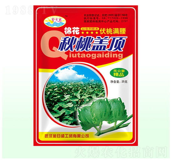 棉花秋桃蓋頂-金日盛-富源祥肥業(yè)