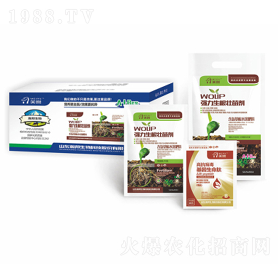 �������~��ʠI�B(y��ng)�ײ�A+B-嫰�����