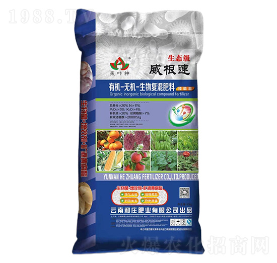 �ЙC(j��)-�o�C(j��)�����(f��)�����11-5-4-������-���f�ʘI(y��)