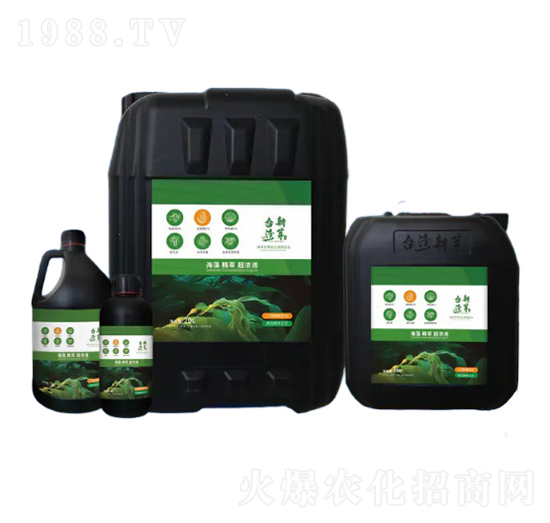 海藻精萃超濃液-恩正