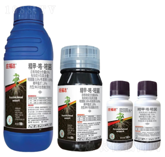 6%���ס������׾��N��̎��Ҹ�����FS��-�f���_-�л�����ƌW(xu��)