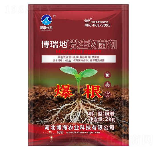 ΢�������(����)-�����-��������