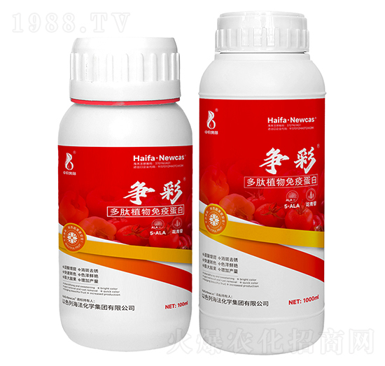 ����ֲ�����ߵ���-��(zh��ng)��-���r(n��ng)�W��