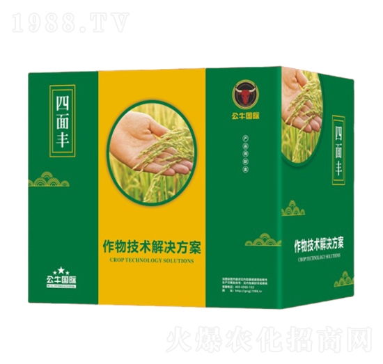 水稻增產(chǎn)技術(shù)解決方案-四面豐-公牛國際